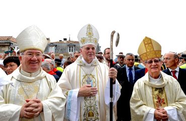 Cofradía de la Virgen Blanca, condolencia, cardenal, arzobispo Sevilla