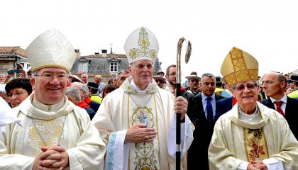 Cofradía de la Virgen Blanca, condolencia, cardenal, arzobispo Sevilla