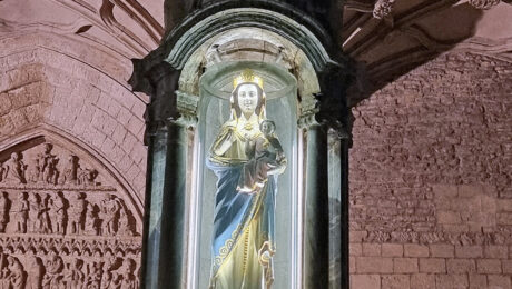 ilumunacion hornacina, patron, virgen blanca